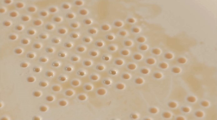 Food Design AbsorbPlate